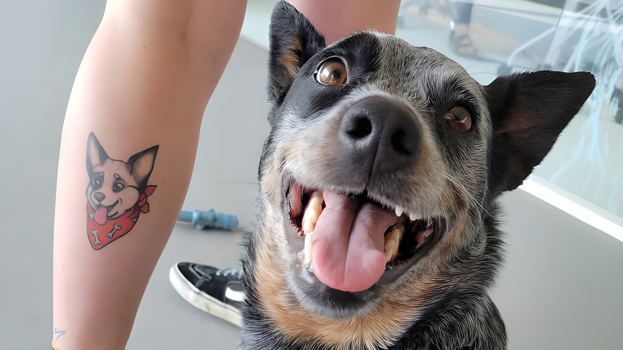 Temporary Tattoos for Pet Lovers: Wear Your Heart on Your Sleeve